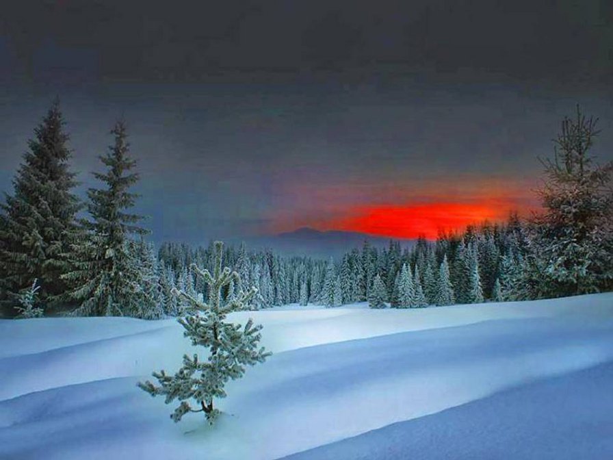 Зимний вечер - вечер, закат, природа, зима - оригинал
