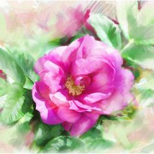 Схема вышивки «Цветок»