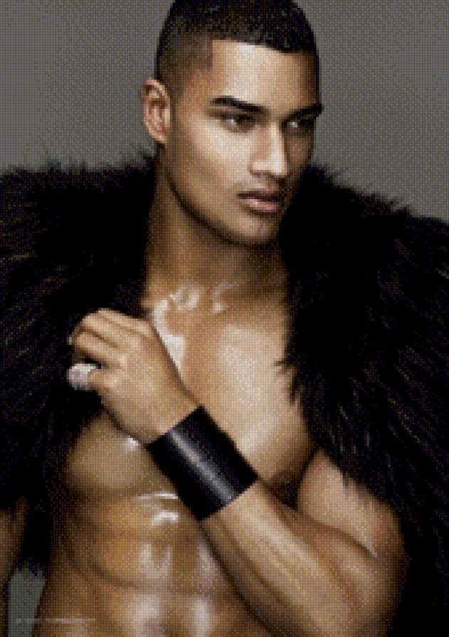 роб эванс - предпросмотр