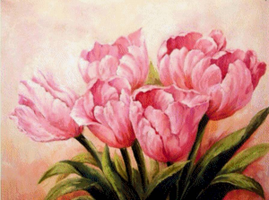 Розовые тюльпаны - розовый, нежность, тюльпаны - предпросмотр