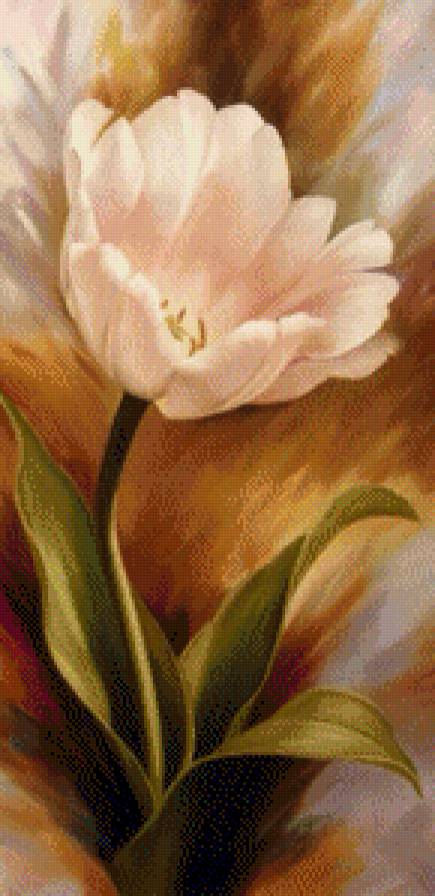 Тюльпан - тюльпан - предпросмотр