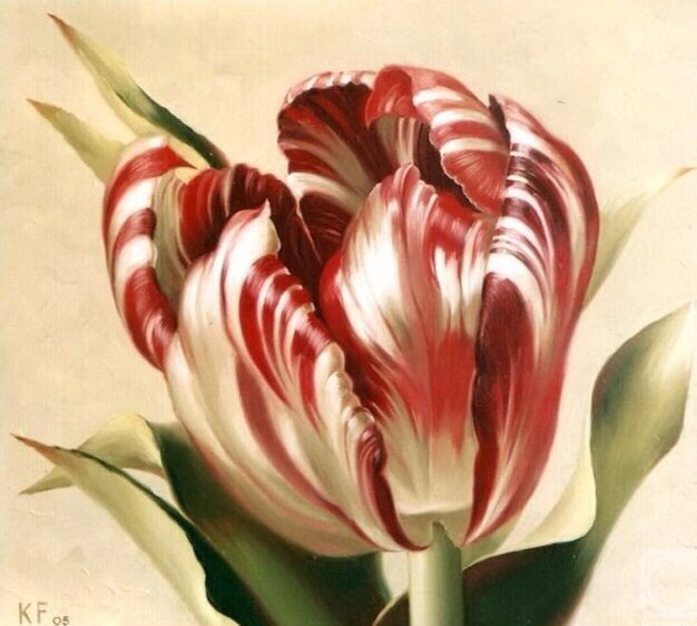 Тюльпан - тюльпан - оригинал