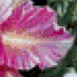 Предпросмотр схемы вышивки «карибри и цветы 1» (№895735)