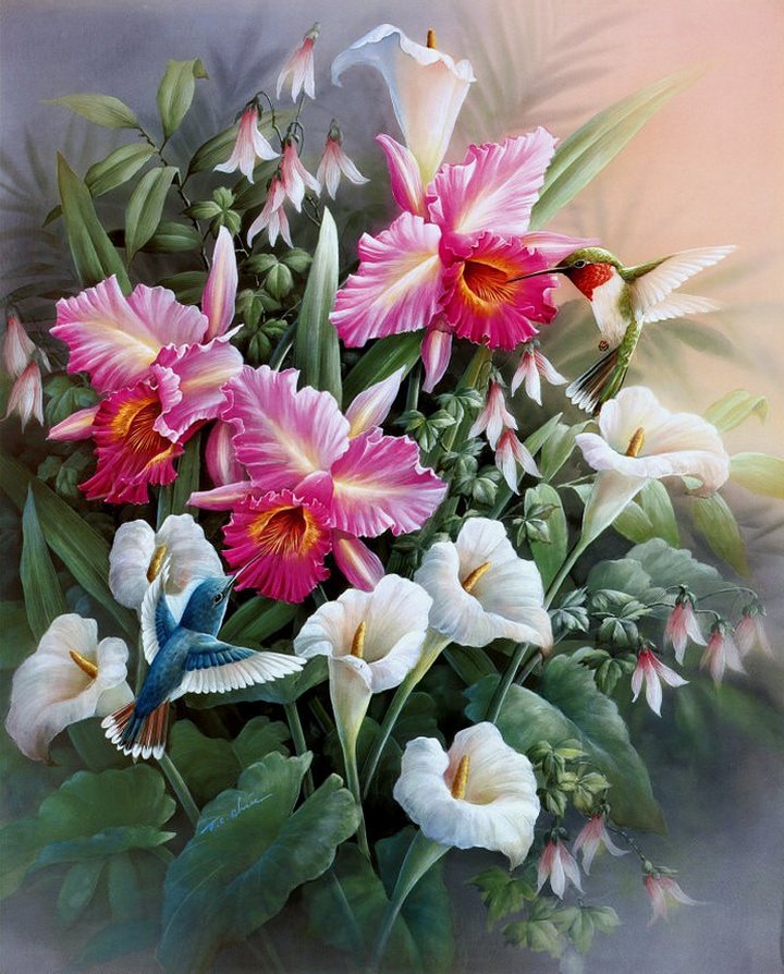 карибри и цветы 1 - оригинал