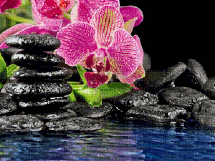 рэлакс - релакс, камни, орхидеи - предпросмотр