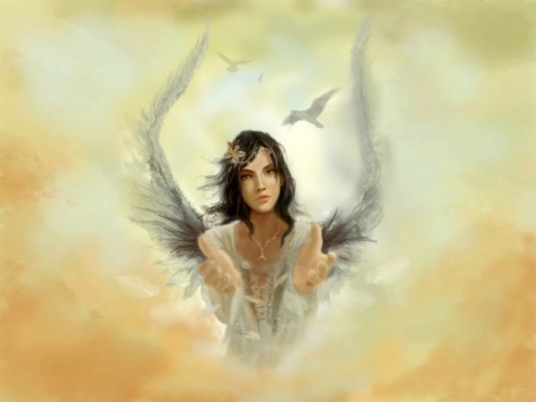 № 8585 - оригинал