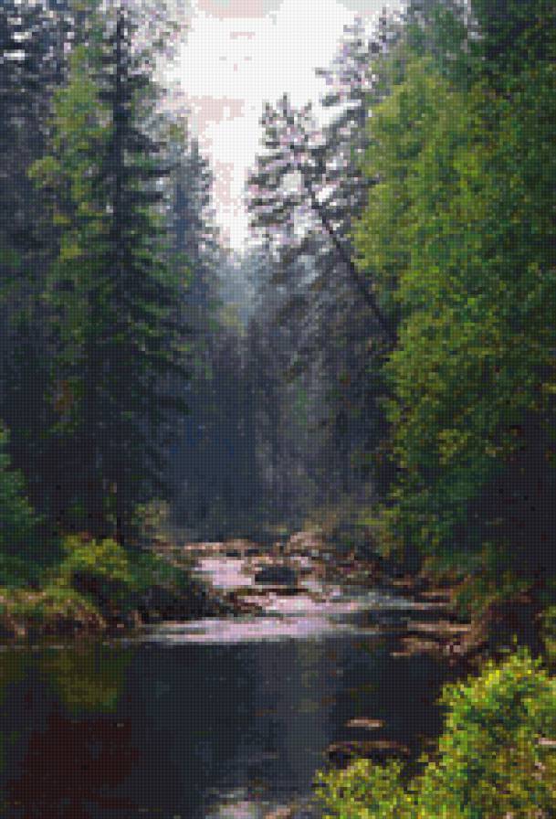 тайга - природа. ели. тайга. река, пейзаж - предпросмотр