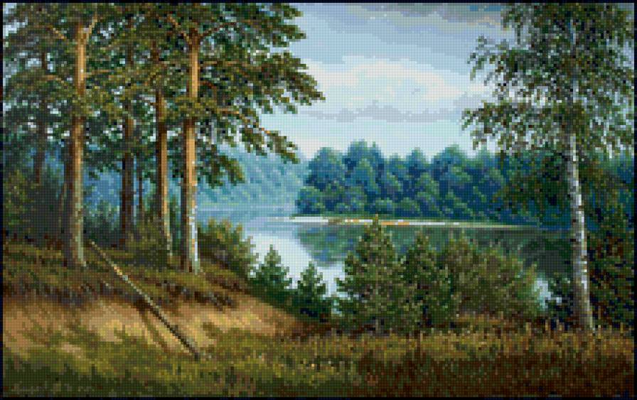 сосны на берегу реки - природа. сосны. река, пейзаж - предпросмотр