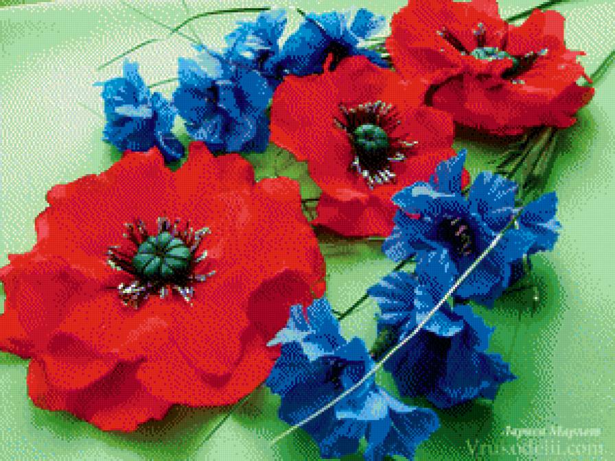 маки другие - маки, мак - предпросмотр