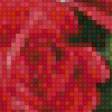 Предпросмотр схемы вышивки «розы» (№896528)