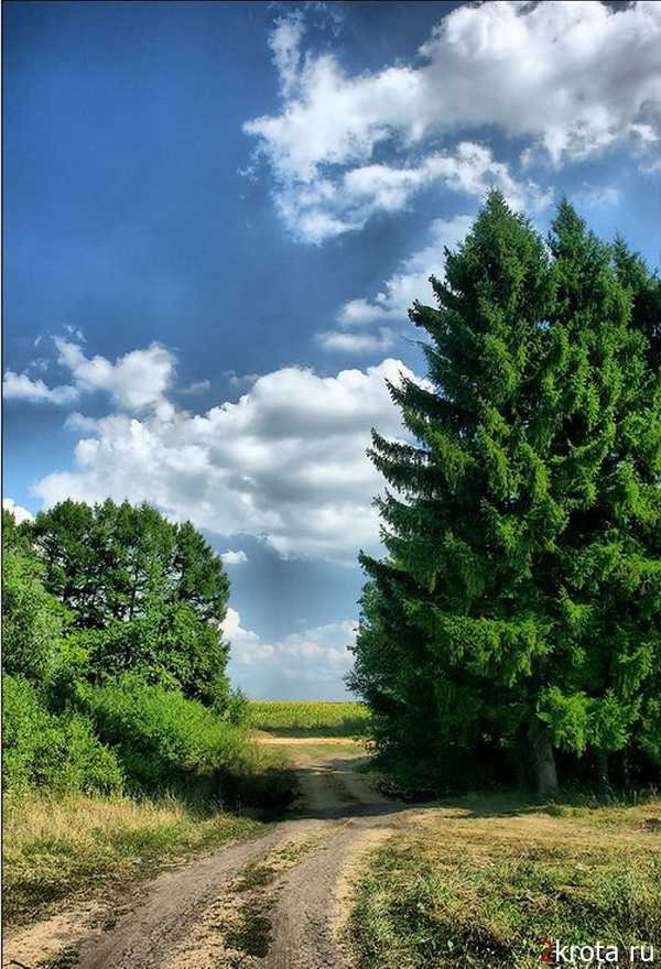 Старая тропинка - природа. тропинка, пейзаж - оригинал