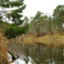 Схема вышивки «сосны на берегу реки»