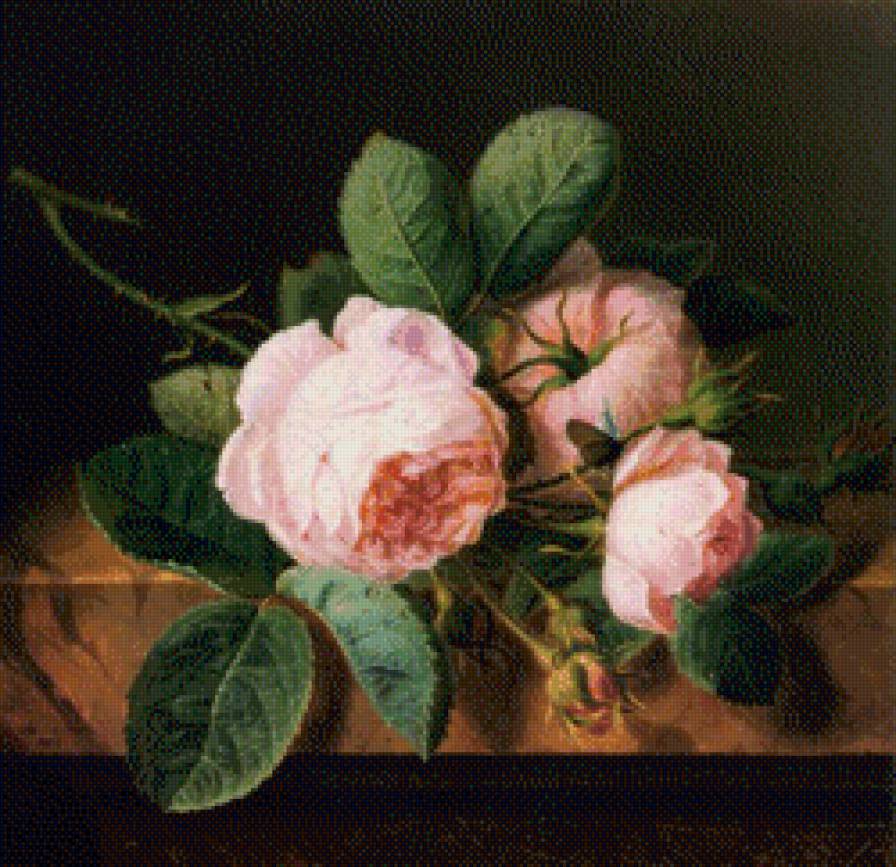 Розы - цветы, букет - предпросмотр