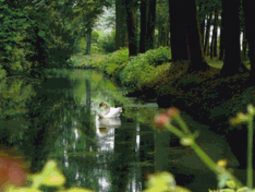 одинокий лебедь - лебеддь, пейзаж. природа. озеро - предпросмотр