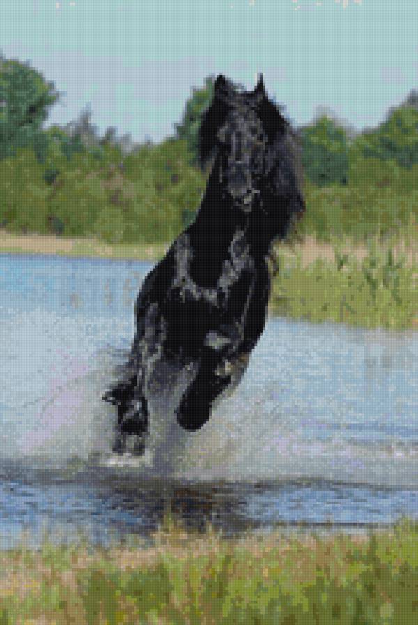 скакун - лошади - предпросмотр