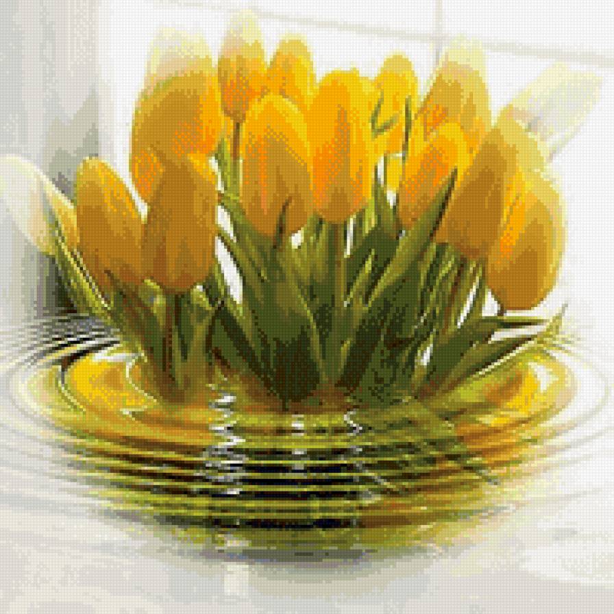 желтые тюльпаны - цветы, тюльпаны, весна - предпросмотр