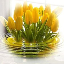 Оригинал схемы вышивки «желтые тюльпаны» (№897343)