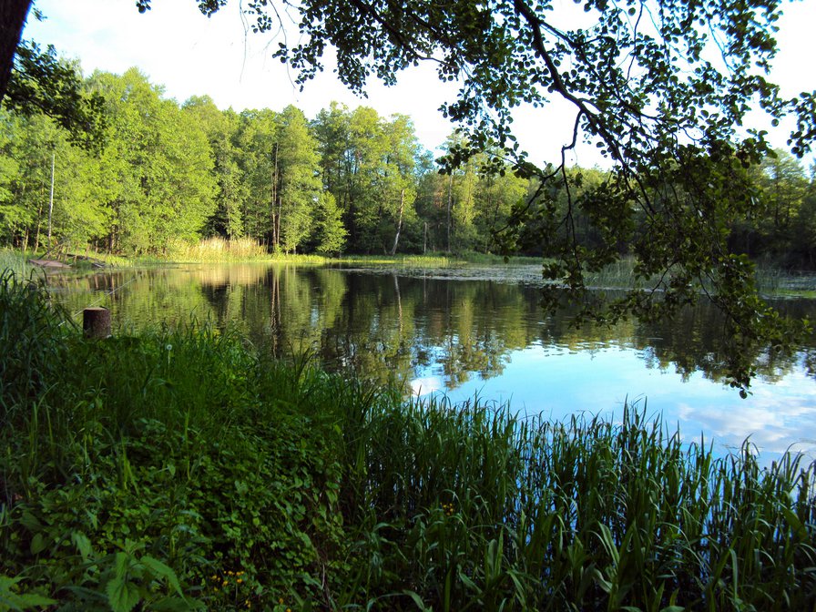 река Усманка - река, природа, пейзаж - оригинал