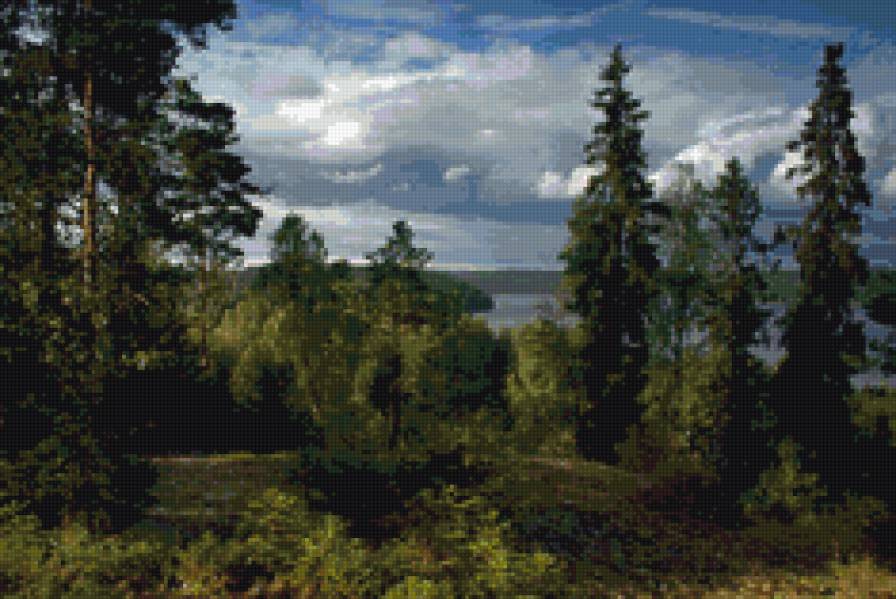 гуща леса - пепейзаж. прироода. лес - предпросмотр