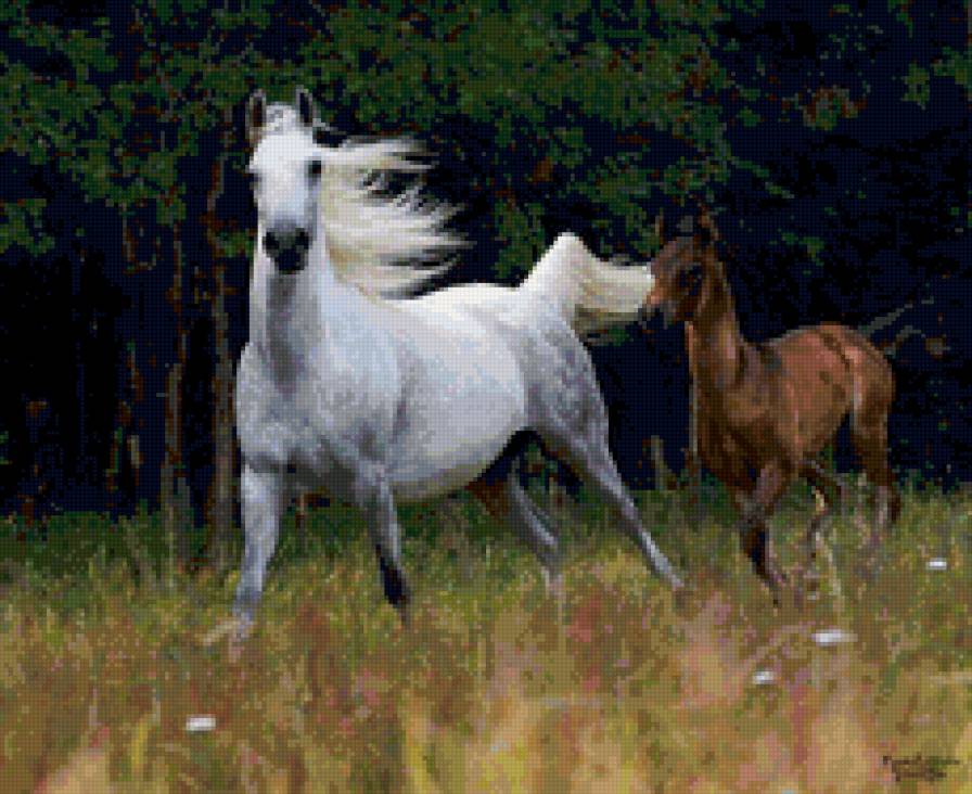 лошадь и жеребенок - лошади, животные - предпросмотр