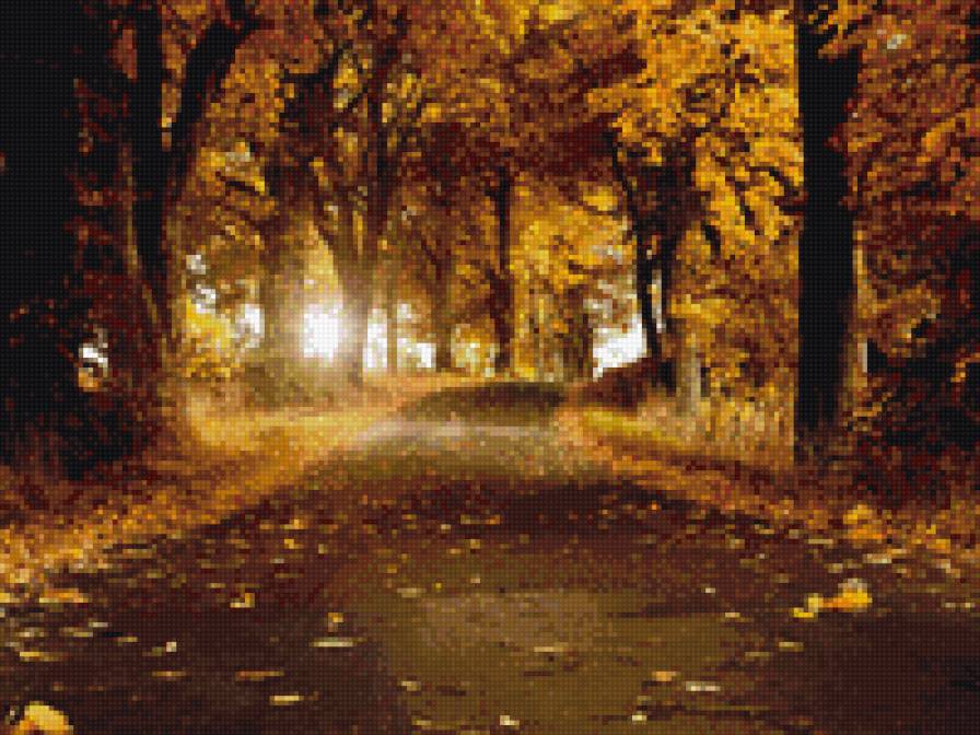 дорога в осень - листья, деревья, лсень, дорога - предпросмотр