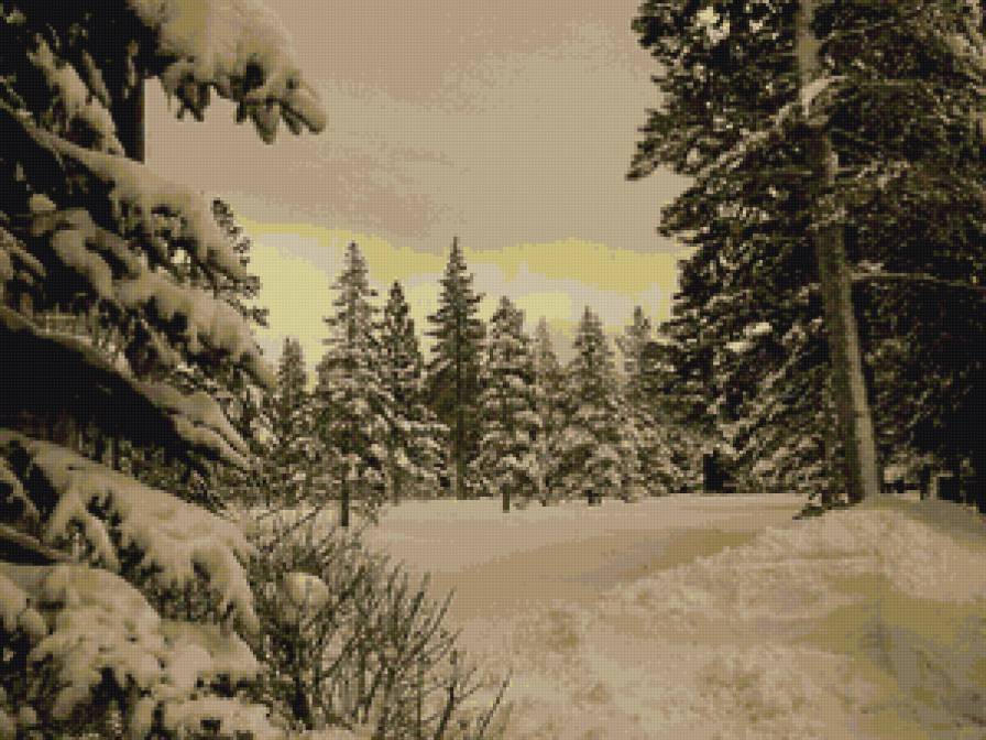 зимний лес - лес, зима, деревья, снег - предпросмотр