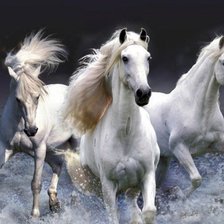 Схема вышивки «лошади 1»