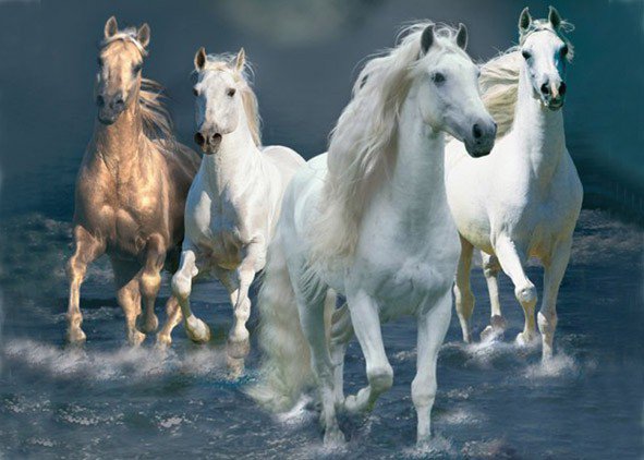 лошади 7 - оригинал