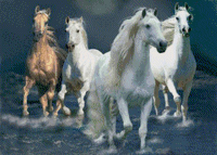 лошади 7 - предпросмотр