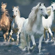 Схема вышивки «лошади 7»