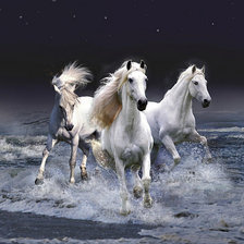 Схема вышивки «лошади 11»