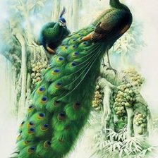 Схема вышивки «TOGOS»