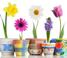 Схема вышивки «цветы в горшках»