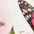 Предпросмотр схемы вышивки «Бабочка» (№898774)