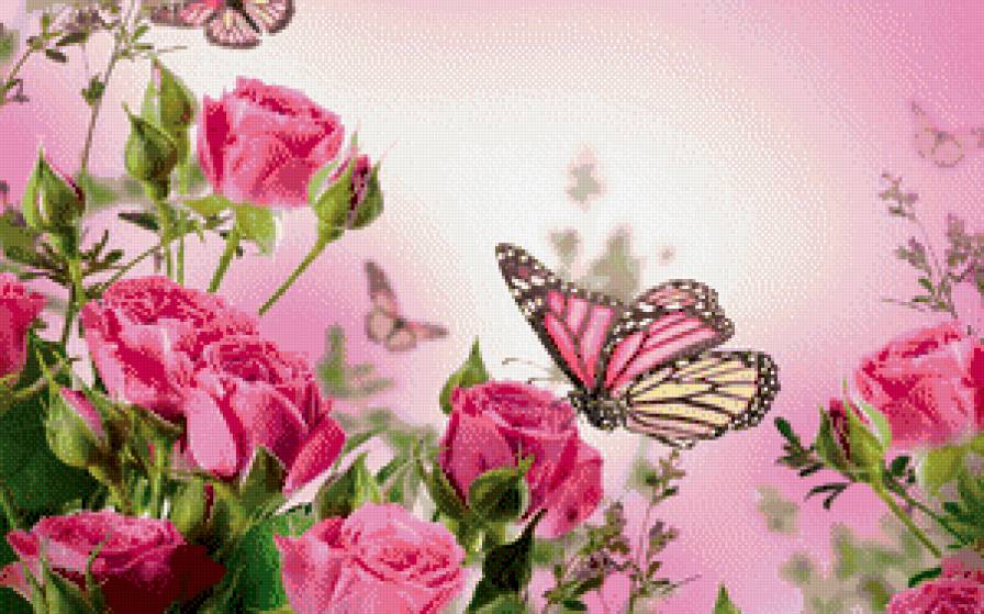 Бабочка - предпросмотр