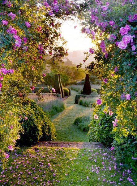 тропинка в лето 2 - сад, цветы, лето, тропинка - оригинал