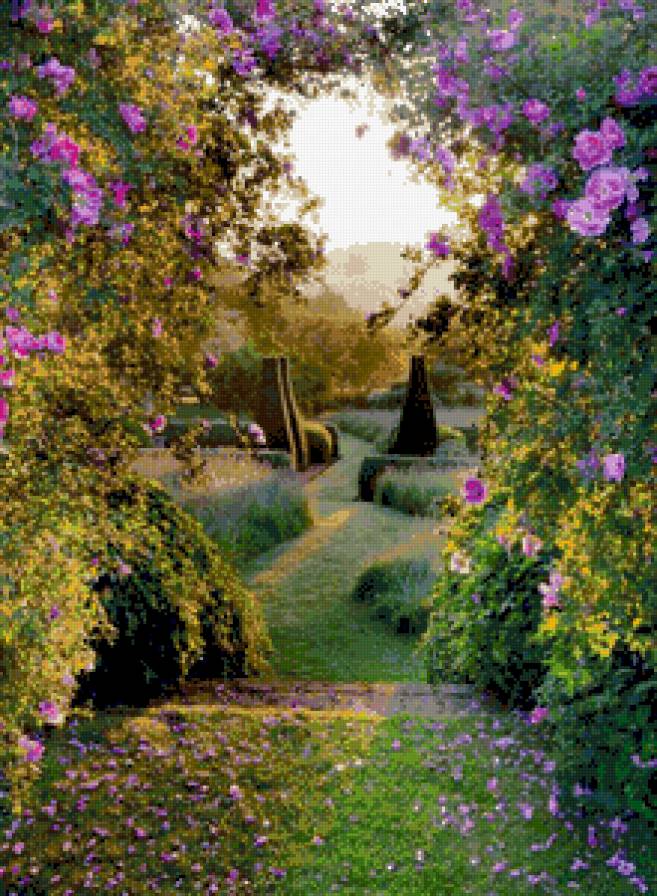 тропинка в лето 2 - сад, цветы, лето, тропинка - предпросмотр