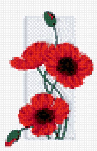 маки2 - предпросмотр