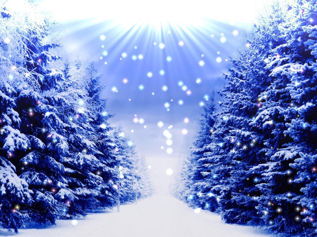 зимний лес - лес, снег, зима - оригинал