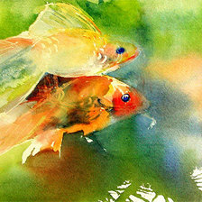 золотые рыбки