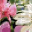 Предпросмотр схемы вышивки «полевые цветы» (№898935)