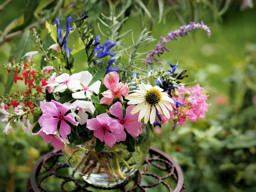 полевые цветы - цветы - оригинал