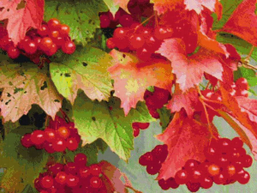 калина - осень, ягоды, калина - предпросмотр