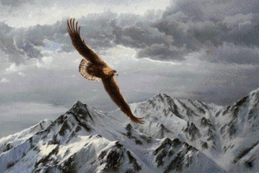 Орел - птица, горы, орел - предпросмотр