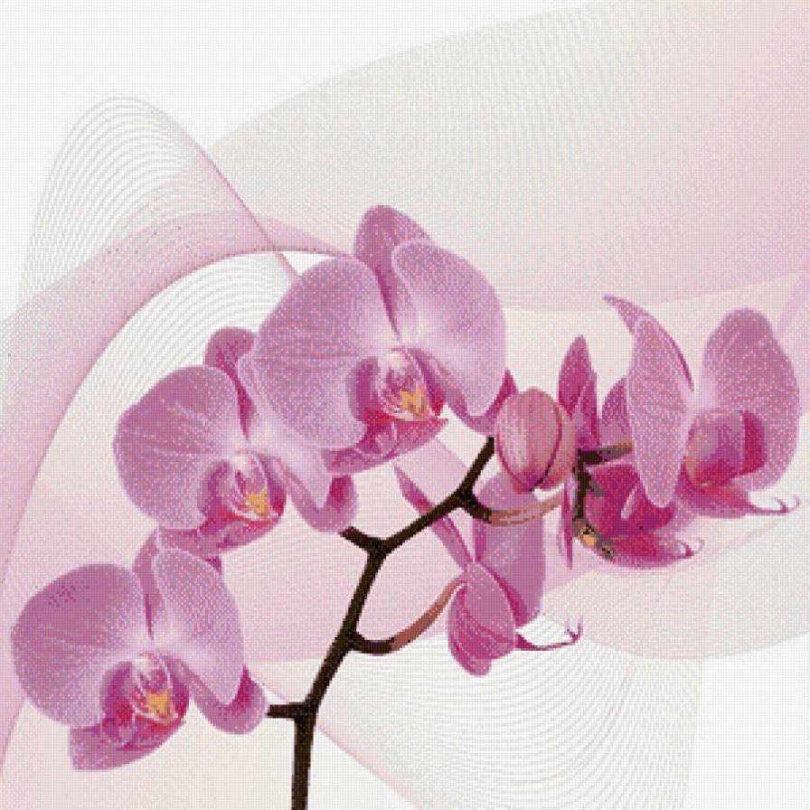 триптих орхидея (левая часть) - предпросмотр