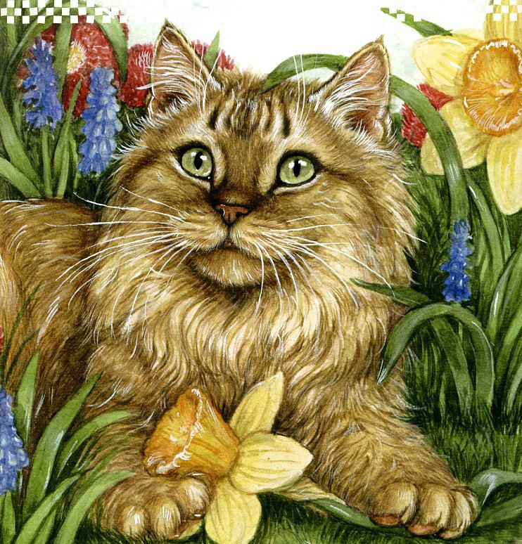 красавчик - кот, коты - оригинал