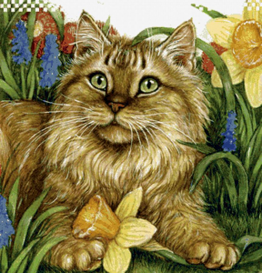 красавчик - коты, кот - предпросмотр