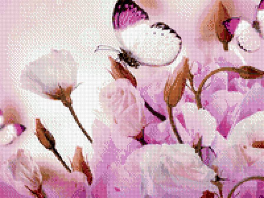 Бабочка на розах - предпросмотр