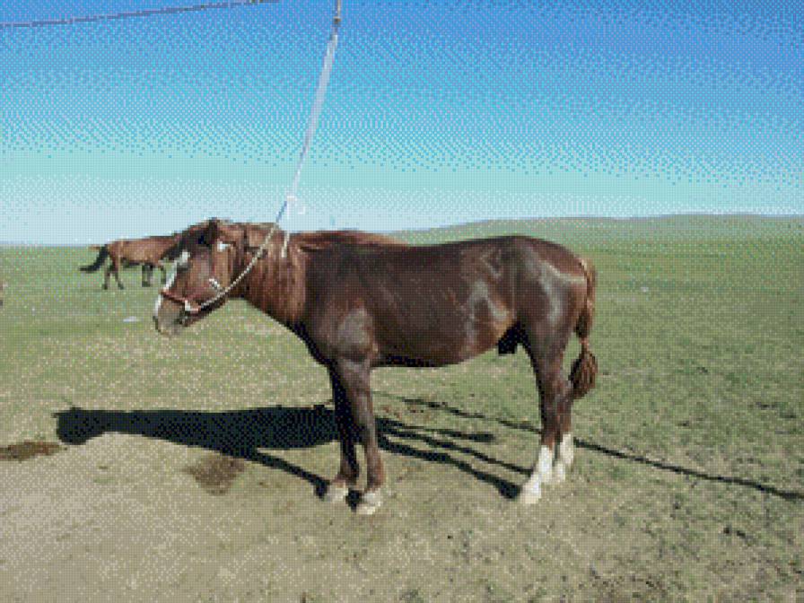 otgoo - предпросмотр