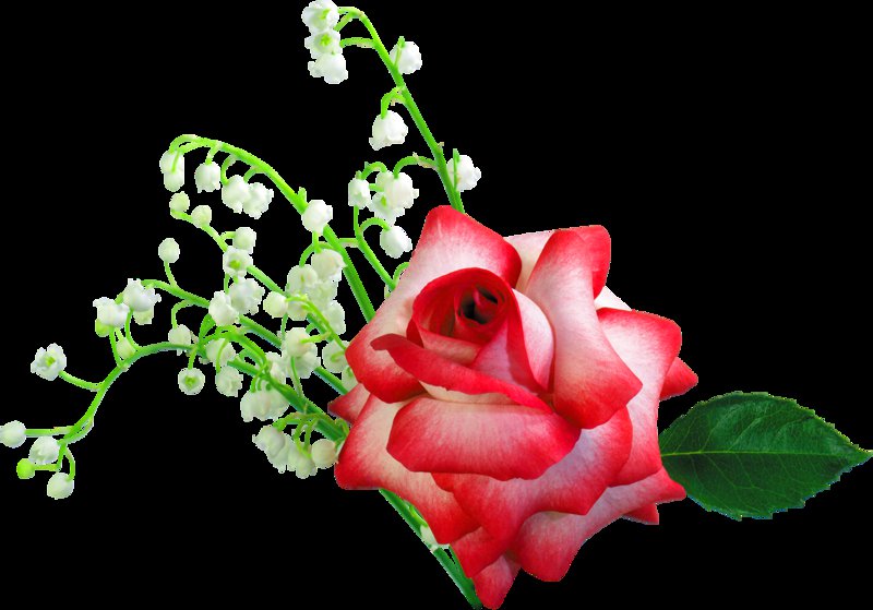 серия "цветы" - цветы.розы.ландышы - оригинал